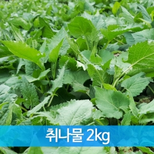 농업회사법인(주)들애초,생 취나물 2kg